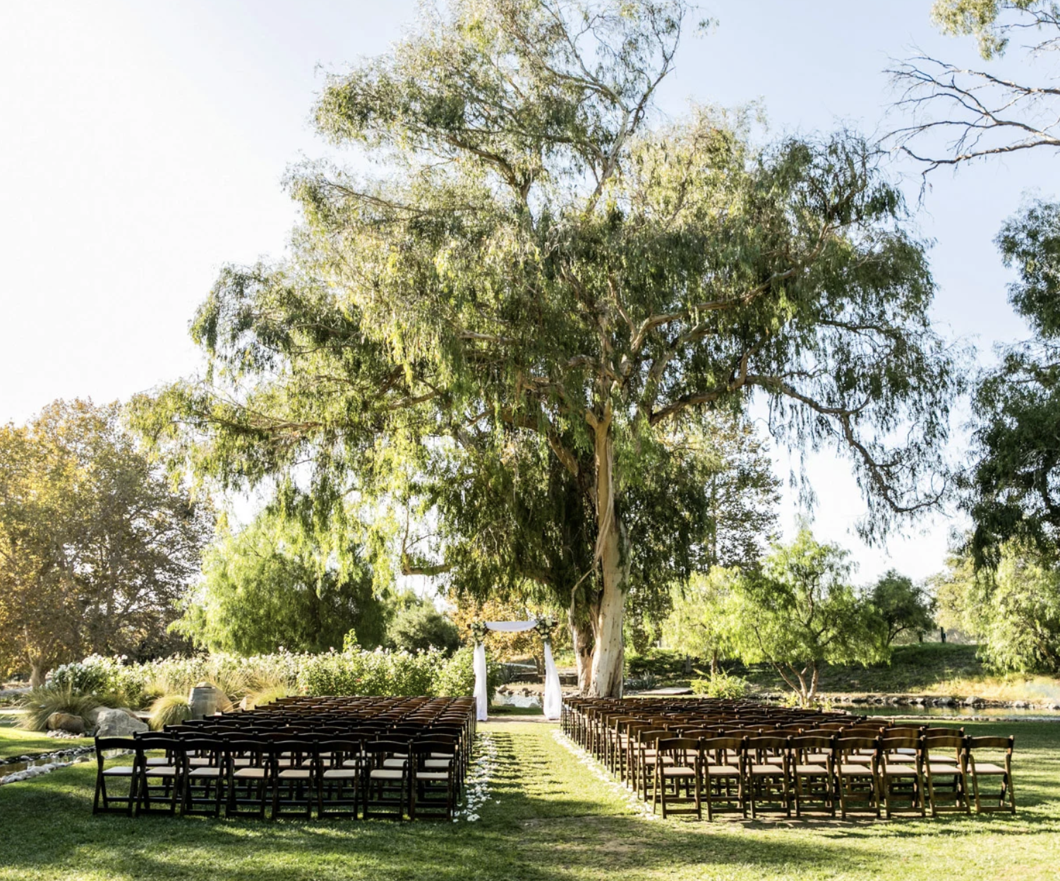 The Wedding Website of Ariana Weise and Austin Trujillo