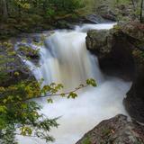 Salmon Falls Reserve