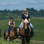 Horseback Safari