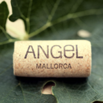 Bodegas Angel