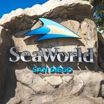 SeaWorld San Diego