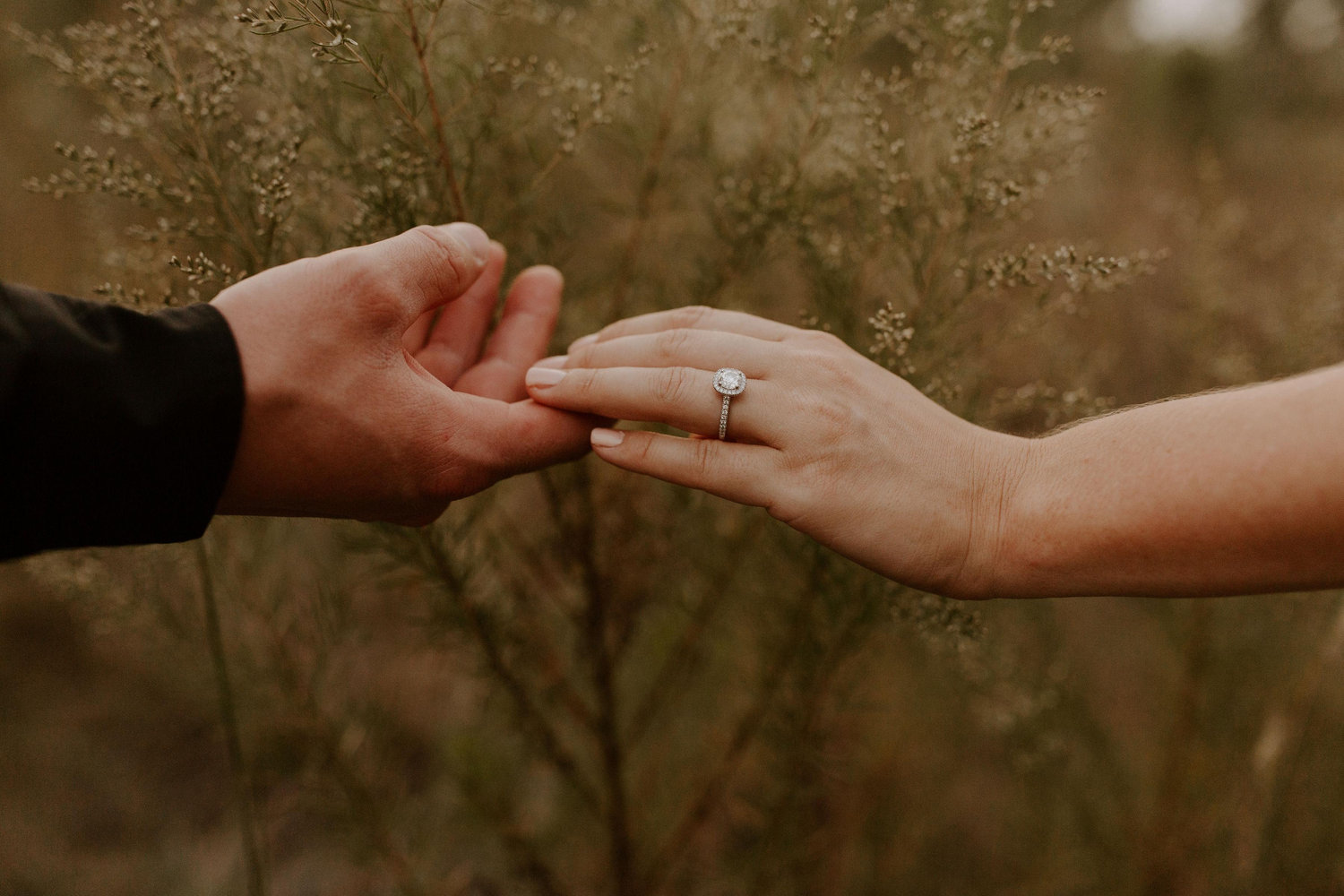 The Wedding Website of Emma Rutherford and Matthew Davis
