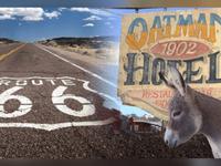 Laughlin Tours, LLC