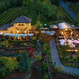 DANCIN Vineyards