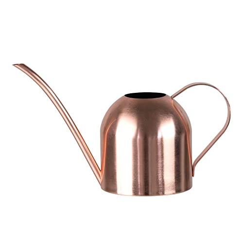 E.Palace Stainless Steel Water Can for Indoor Plants and Garden Copper (30 oz)