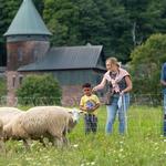 Shelburne Farms