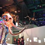 Houston Museum of Natural Science
