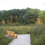 Stone Lake Wetland Park