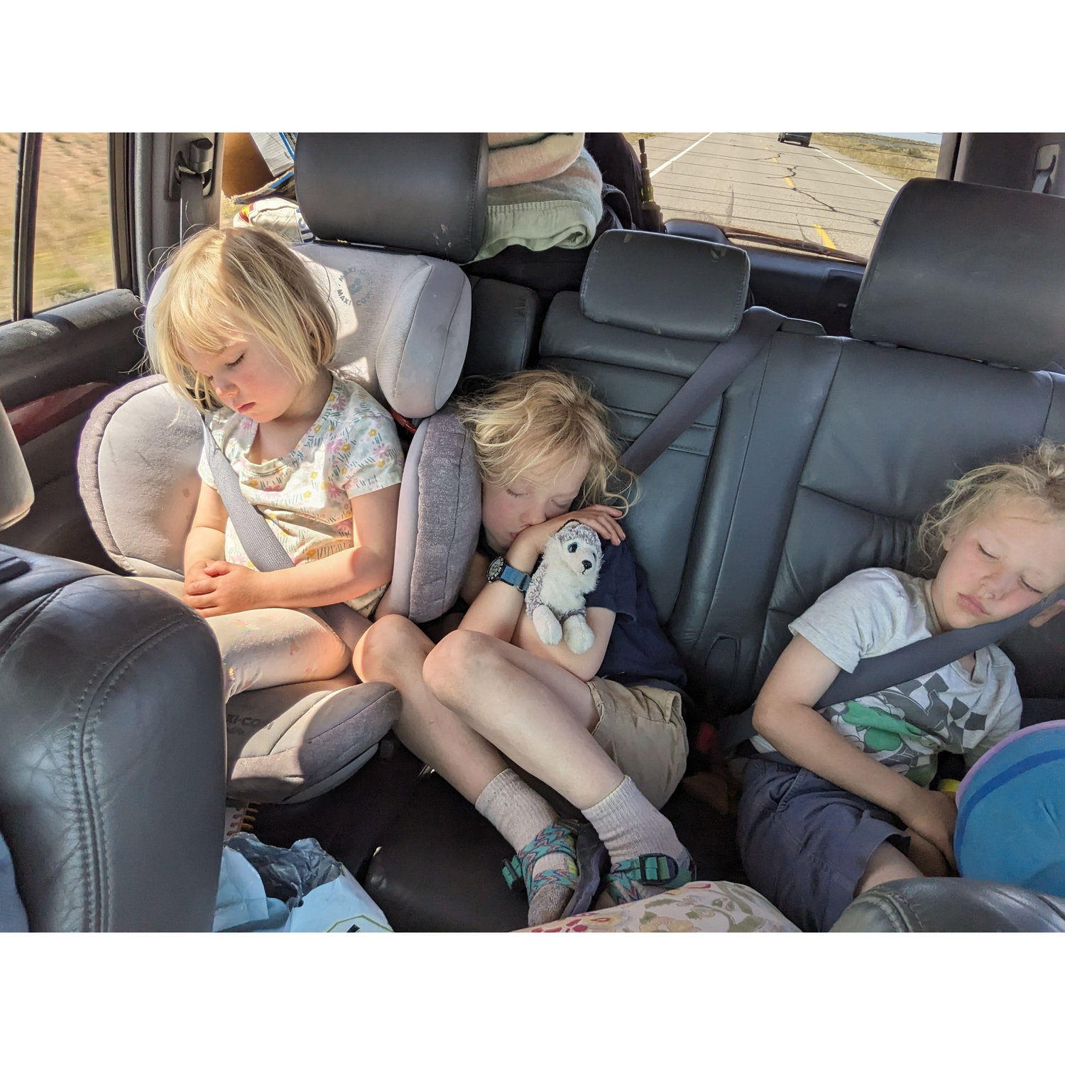 Road trip tuckered