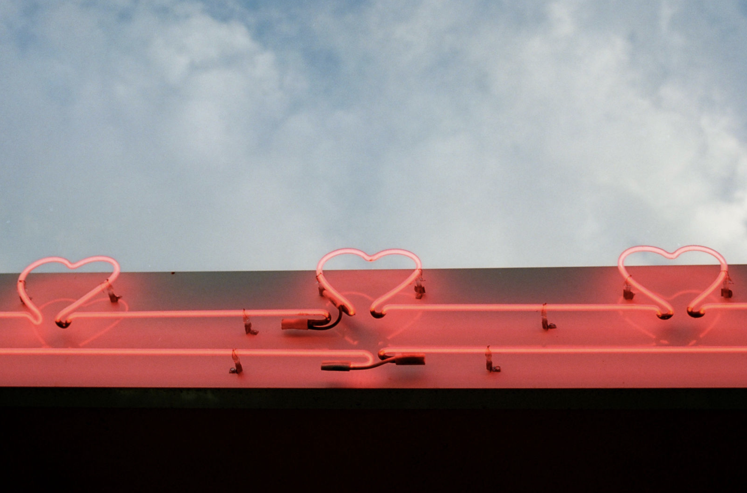 The Wedding Website of Delia Loughrey and Douglas Chapman