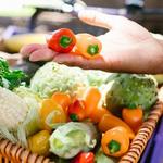 Farmer's Market on Carter Green