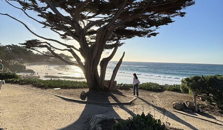 Hero Slideshow Image 1