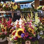 Saturday morning: Eau Claire Farmer’s Market