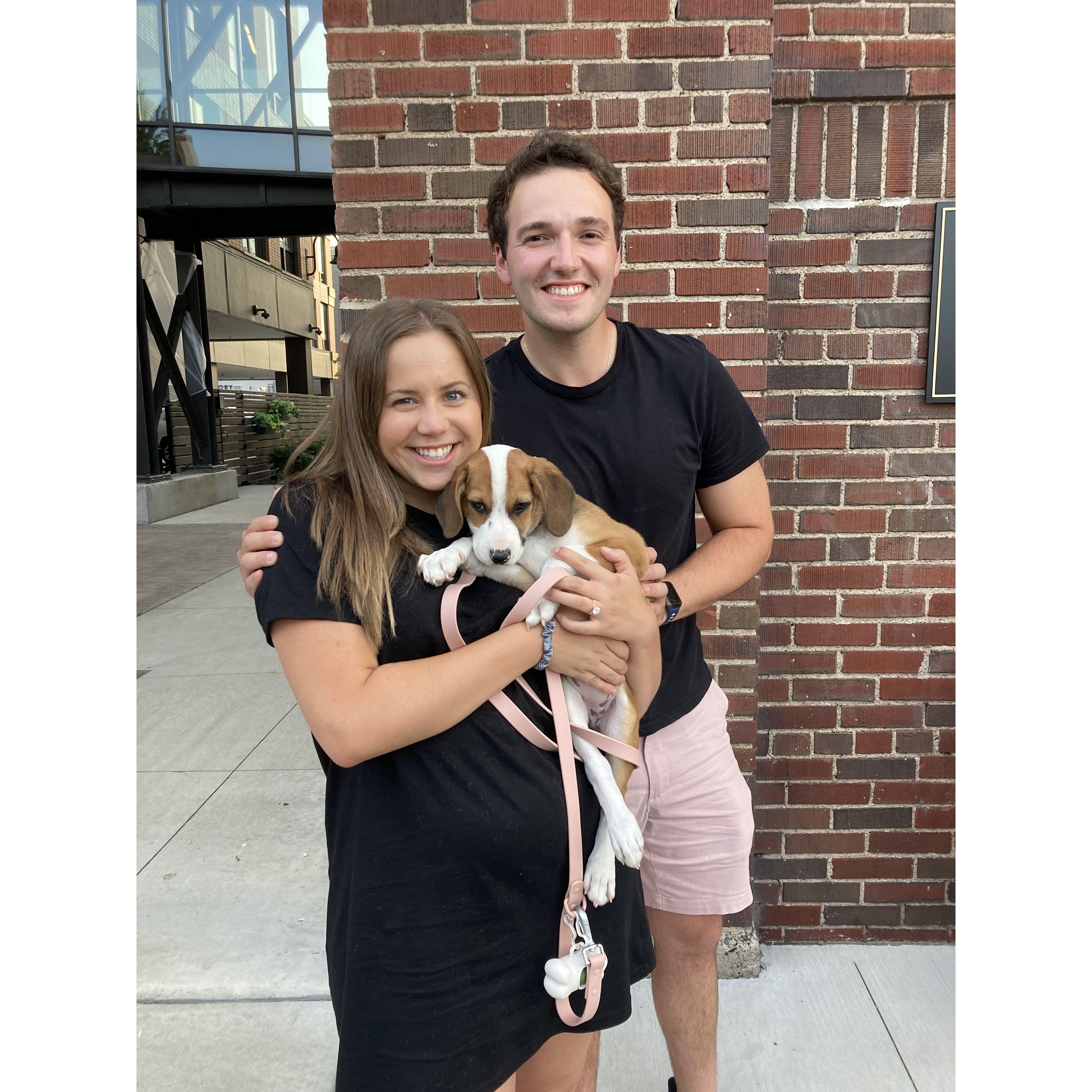 Adopting our sweet Paisley!