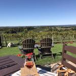 Traverse City Wine & Beer Tours