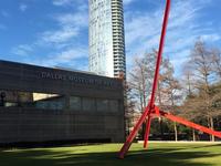 Dallas Museum Of Art