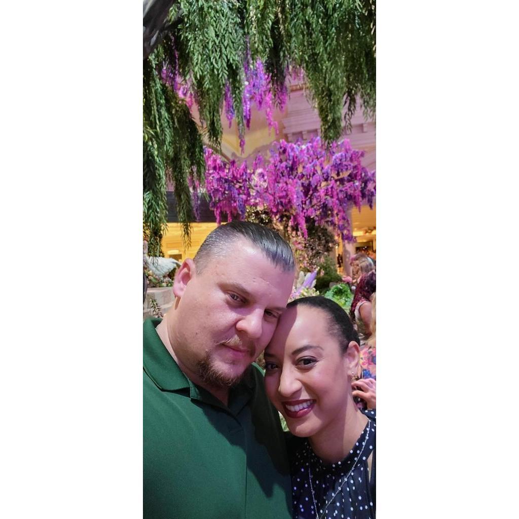 Engagement Photos at Bellagio Flower Conservatory