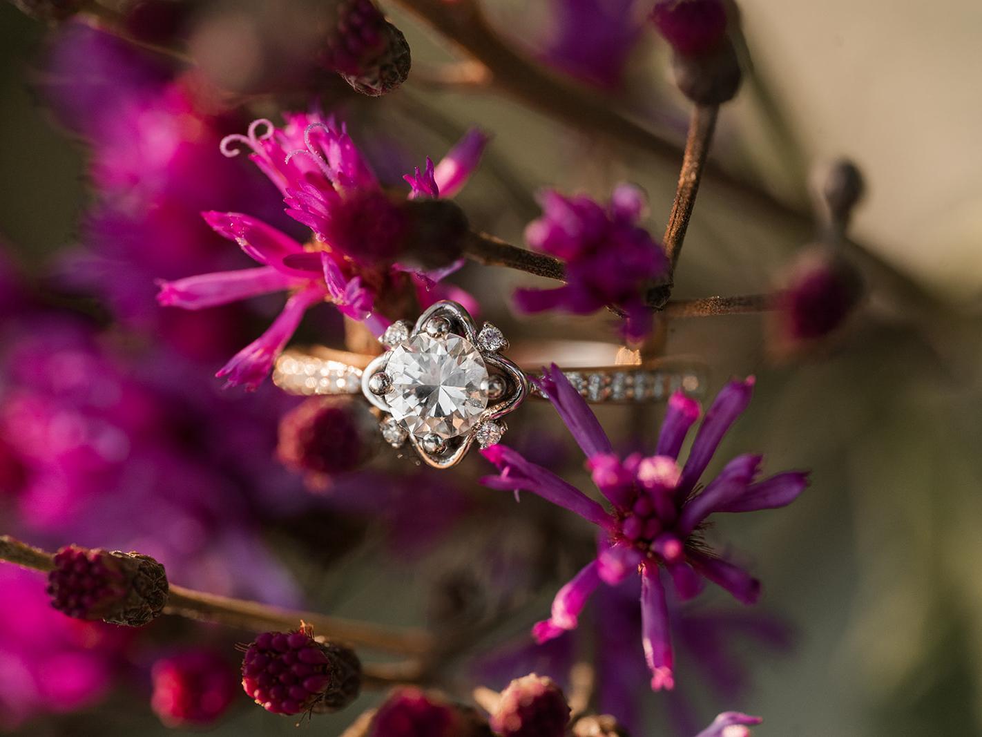 The Wedding Website of Elizabeth Sutton and Cedric Bailey