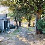 St. Louis Cemetery No. 1