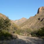 Sabino Canyon Trail