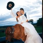 Mechanical Bull