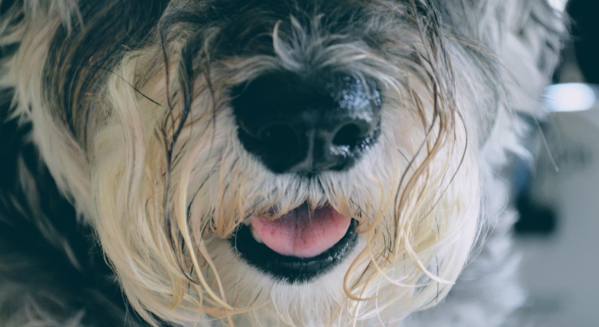Footer image