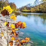 Chessie Nature Trail