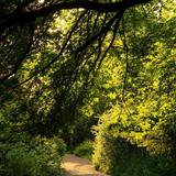 Discovery Park