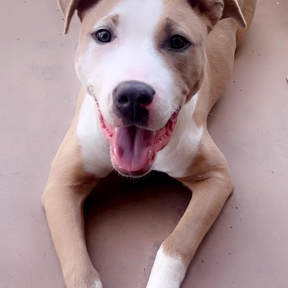 Newest member of our family- Faith