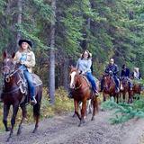 Horseshoe Creek Riding Stables