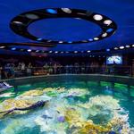 New England Aquarium