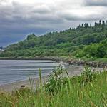 Discovery Park