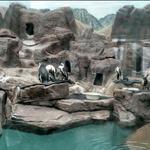 Como Park Zoo & Conservatory
