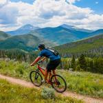 Mountain Biking