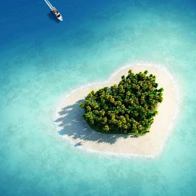Honeymoon Fund