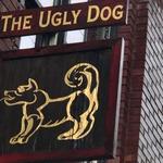 The Ugly Dog Public House- Highlands