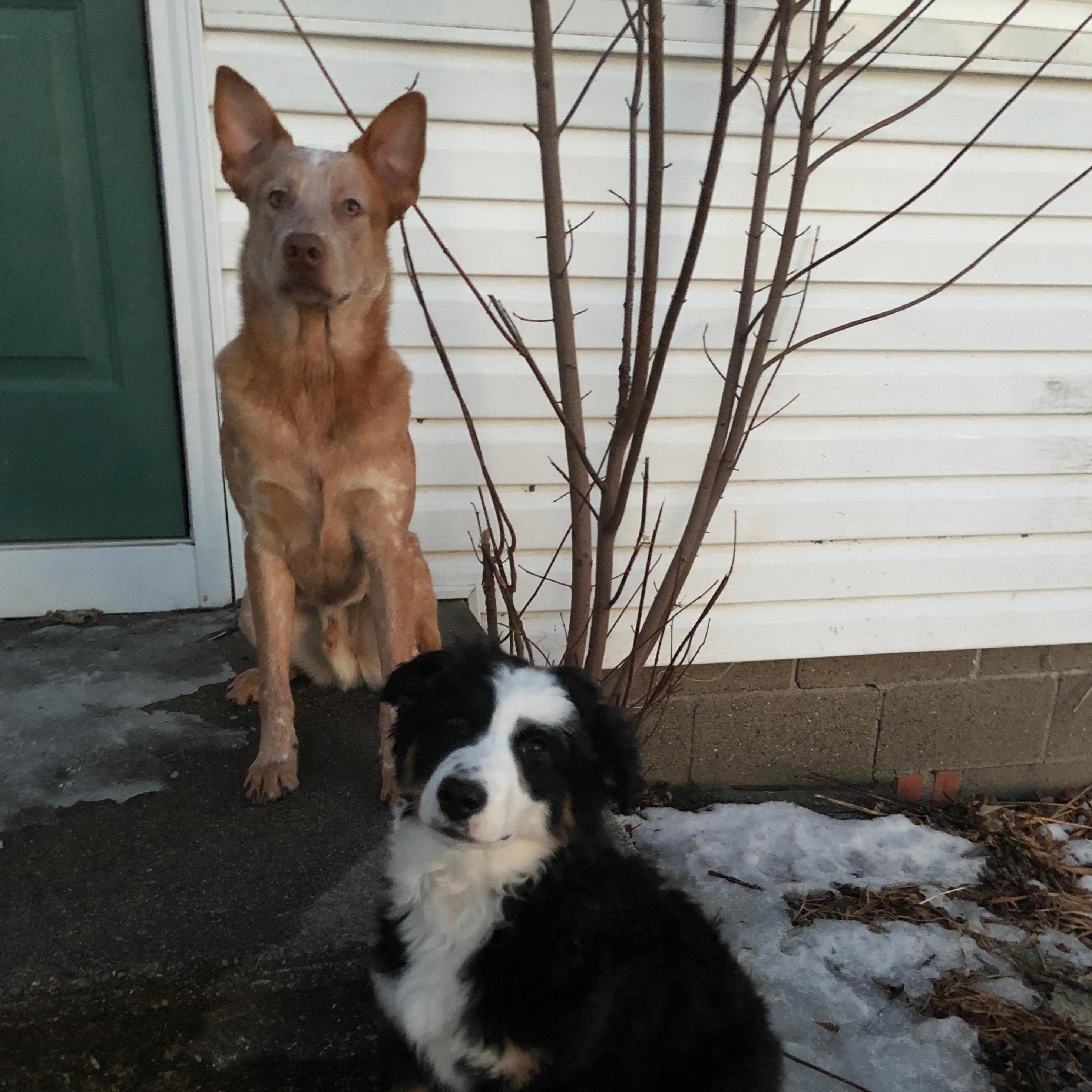 Our boys!!