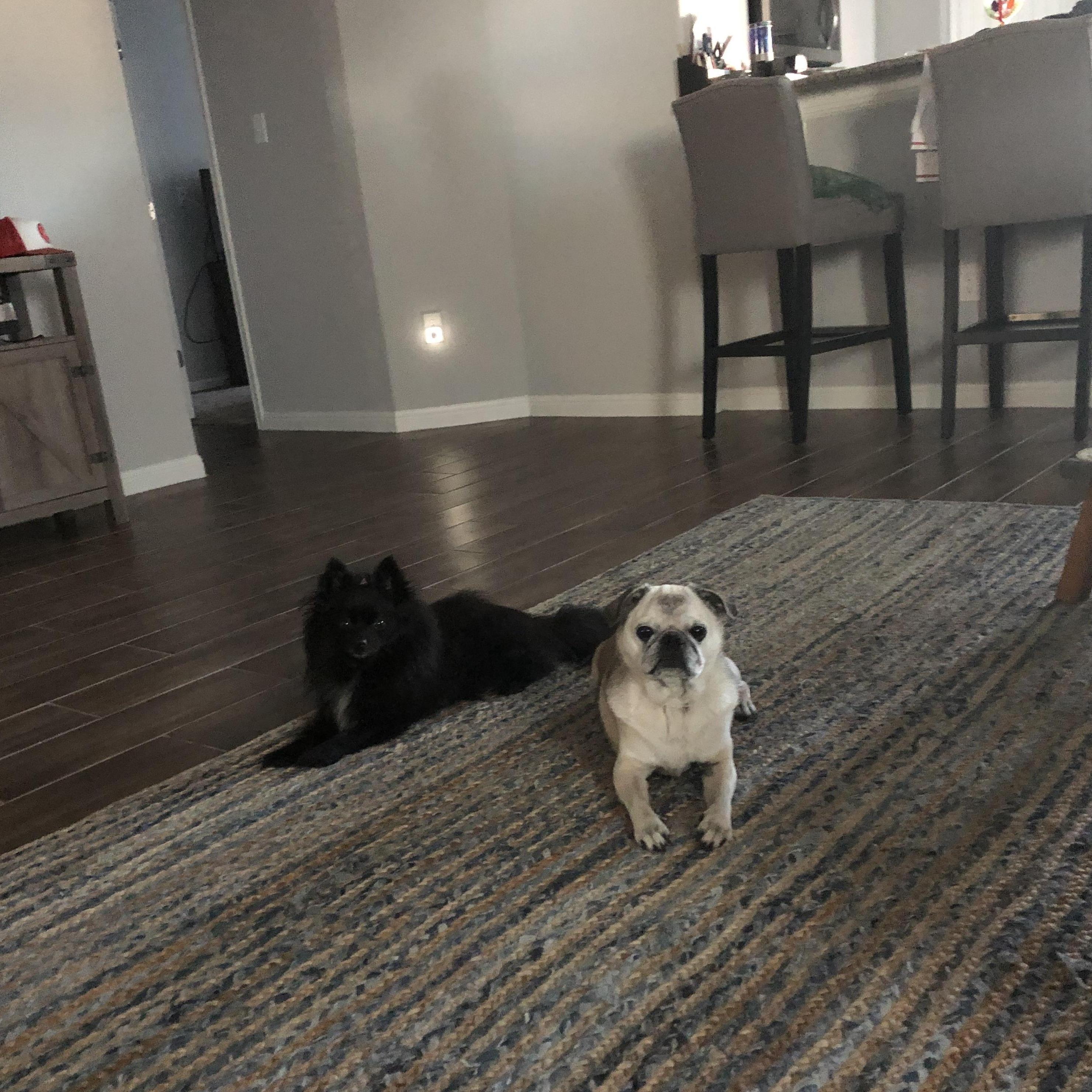 Ding & Dong