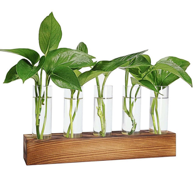 Renmxj Plant Propagation Station, Plant Terrarium with Wooden Stand, Plant Pots for Hydroponics, Small Birthday Gardening Gifts for Women Mom Plant Lovers Unique - 5 Glass Test Tubes Vases
