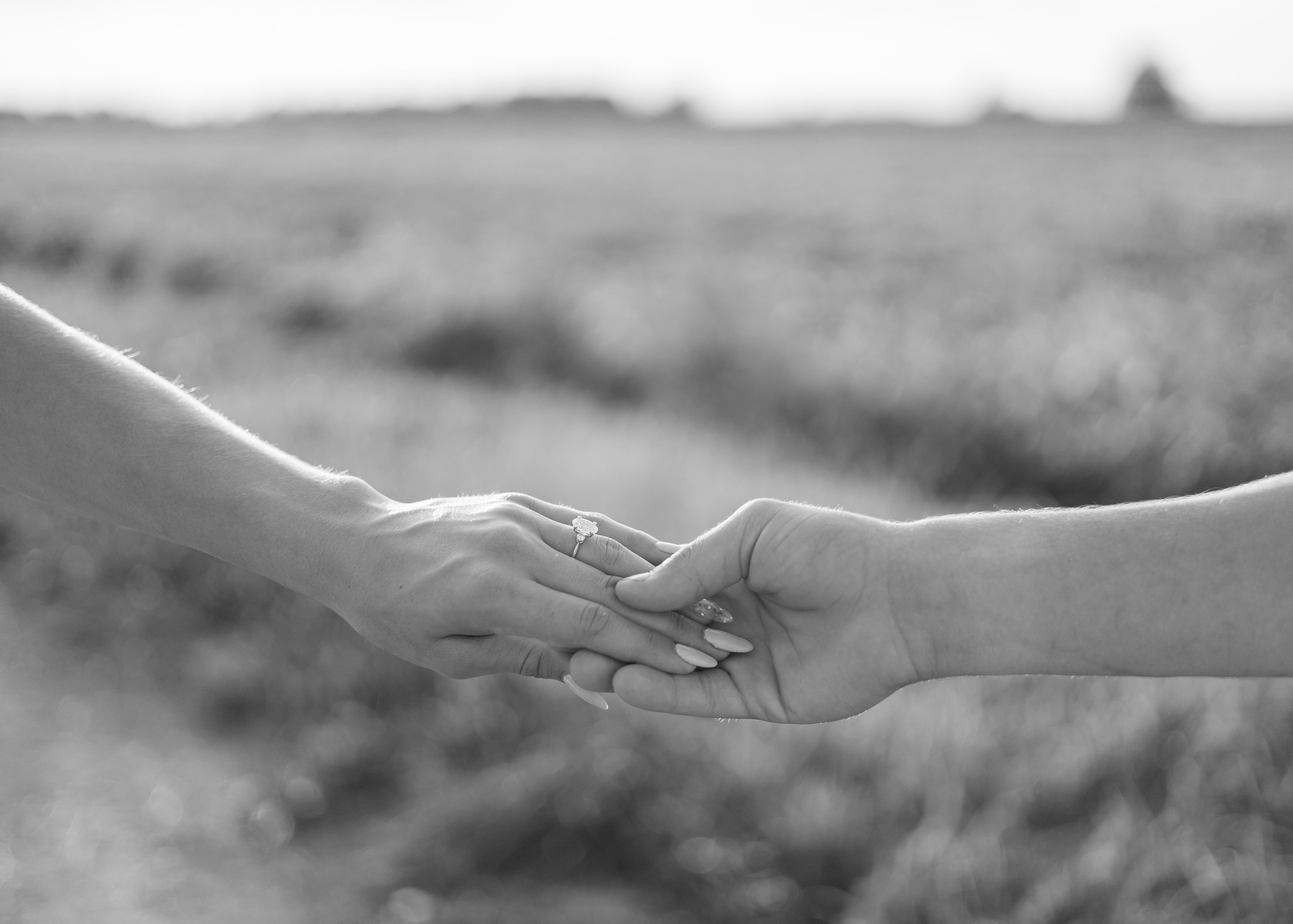 The Wedding Website of Amelia Denny and Damien Miller