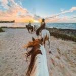Horseback Oceanfront Trail Rides