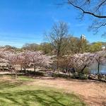 Branch Brook Park