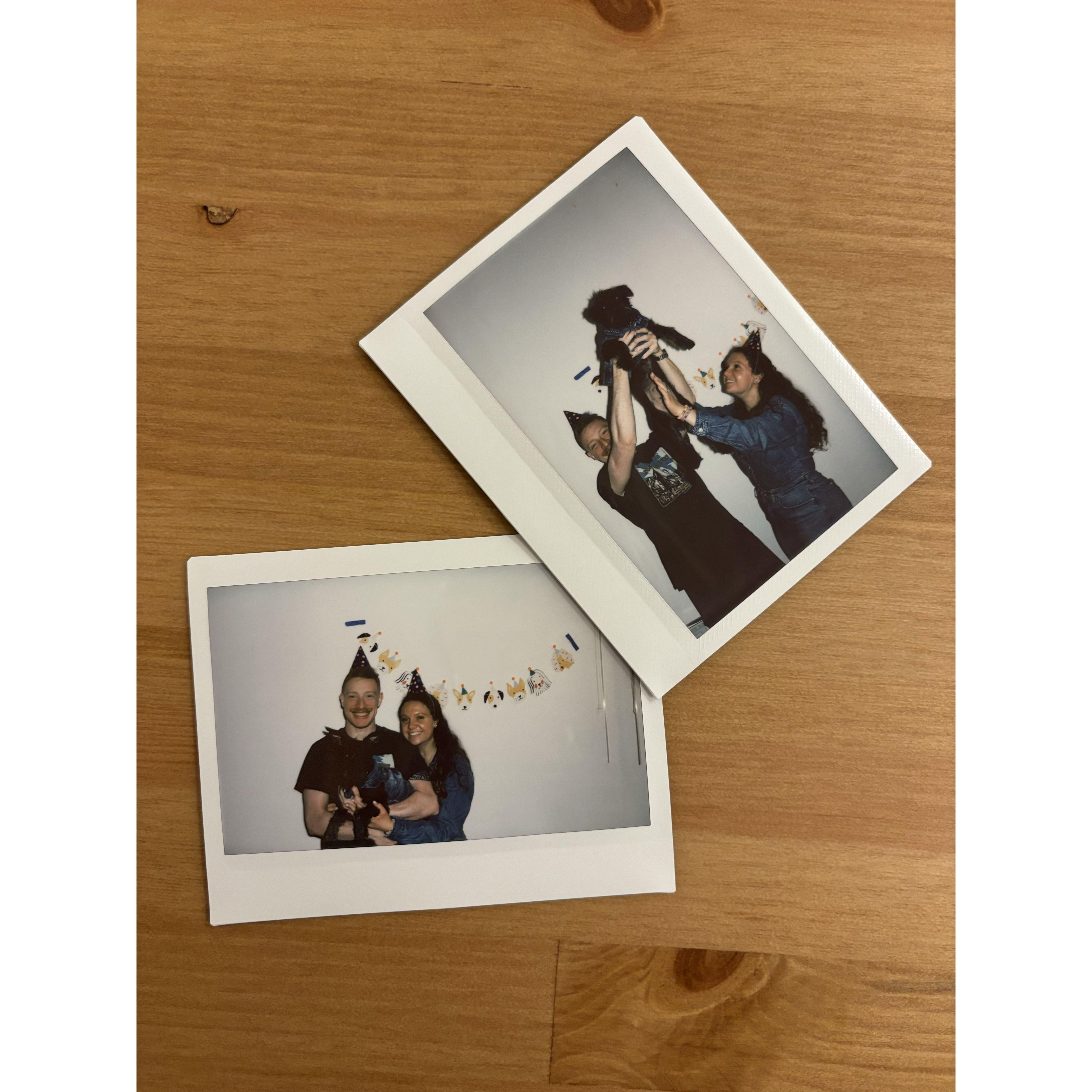 Bravo's breed reveal party