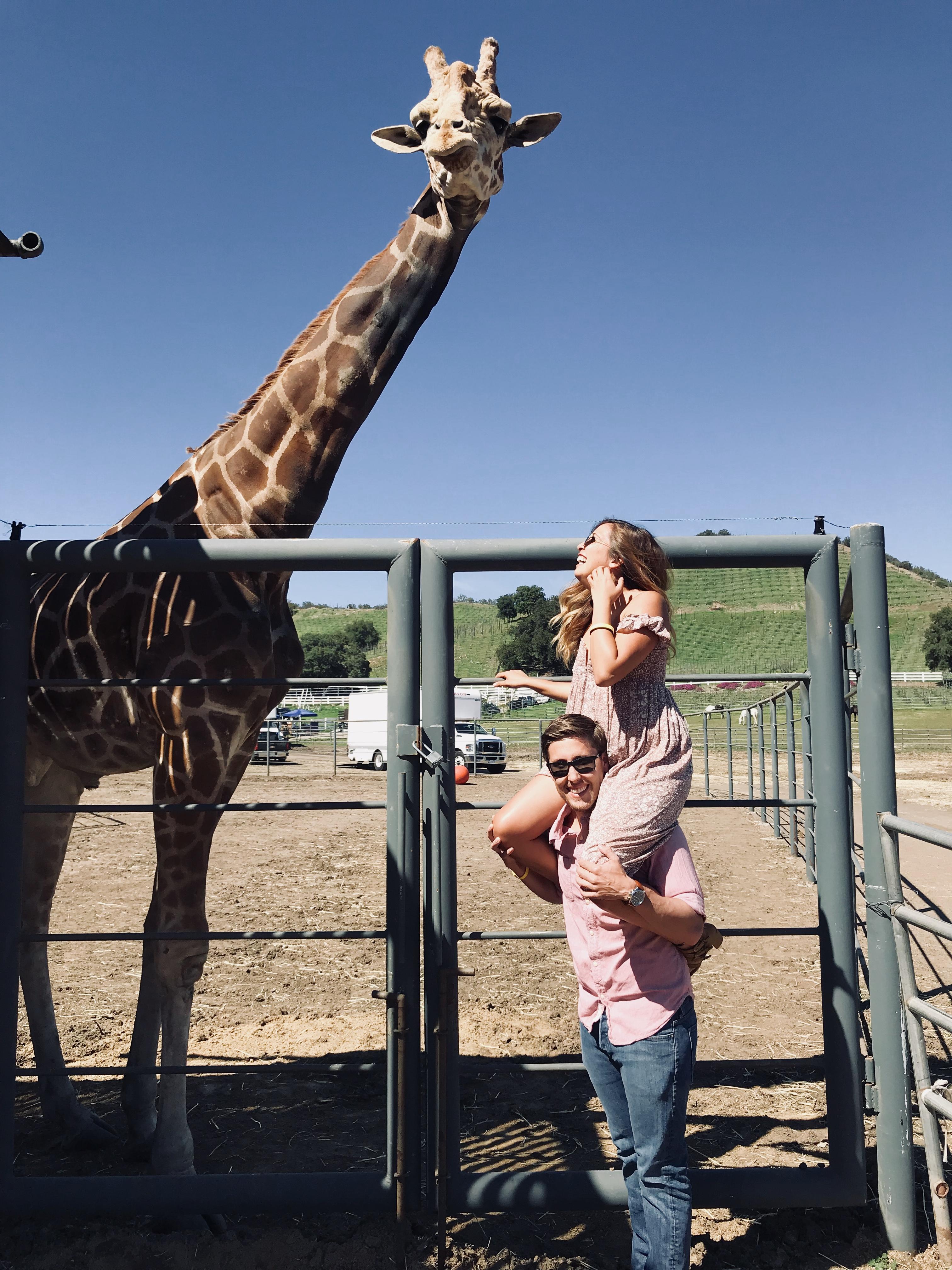 The Wedding Website of Julia Vera and Jason Douglas
