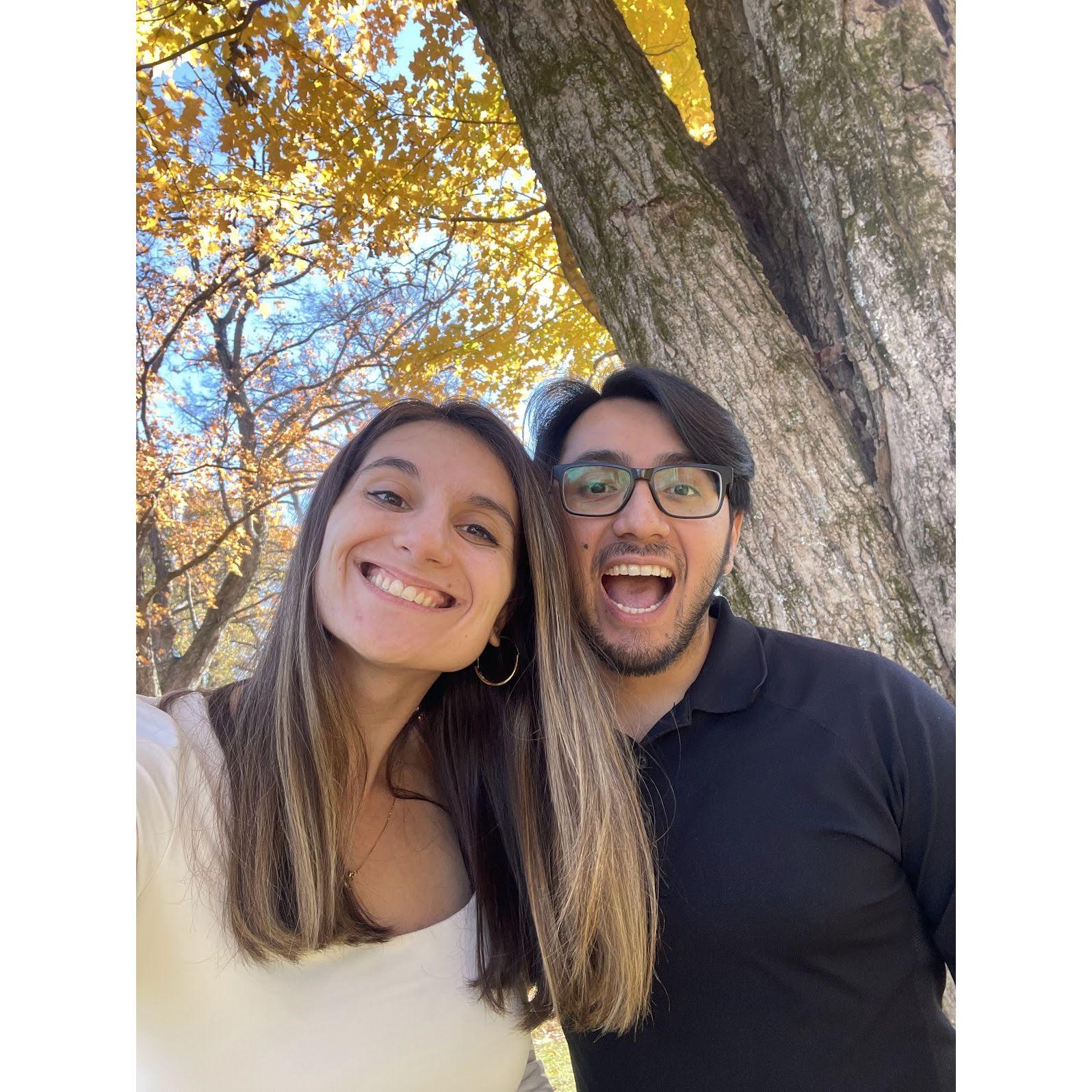 Fall at Percy Warner