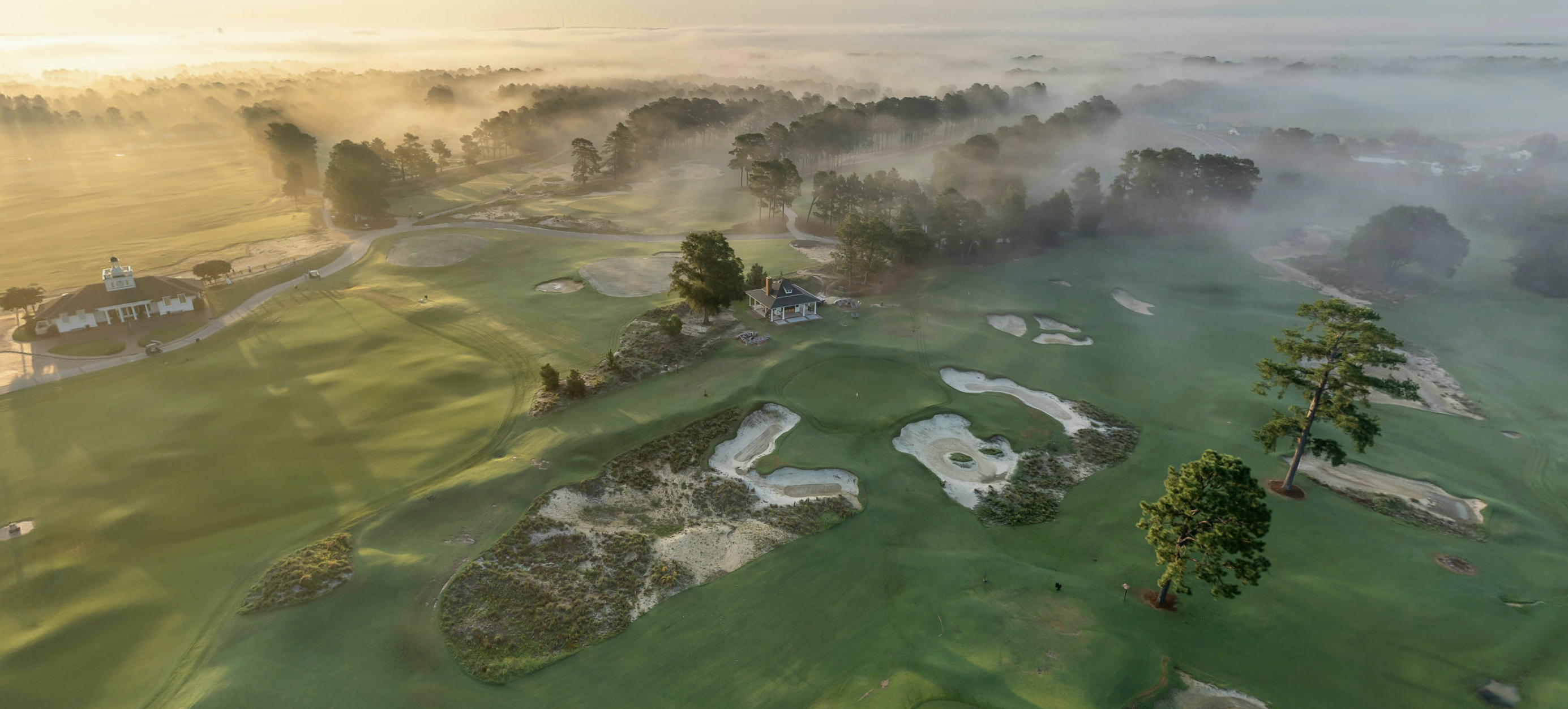 The Wedding Website of Emily Brooks and Thomas Beamish