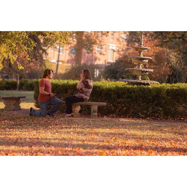 The proposal.