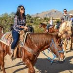 Kohl's Ranch Stables