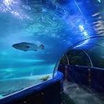 Greater Cleveland Aquarium