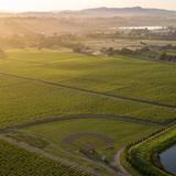 Wine Tasting in Russian River Valley
